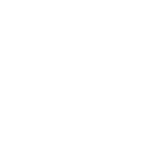 Web Slip